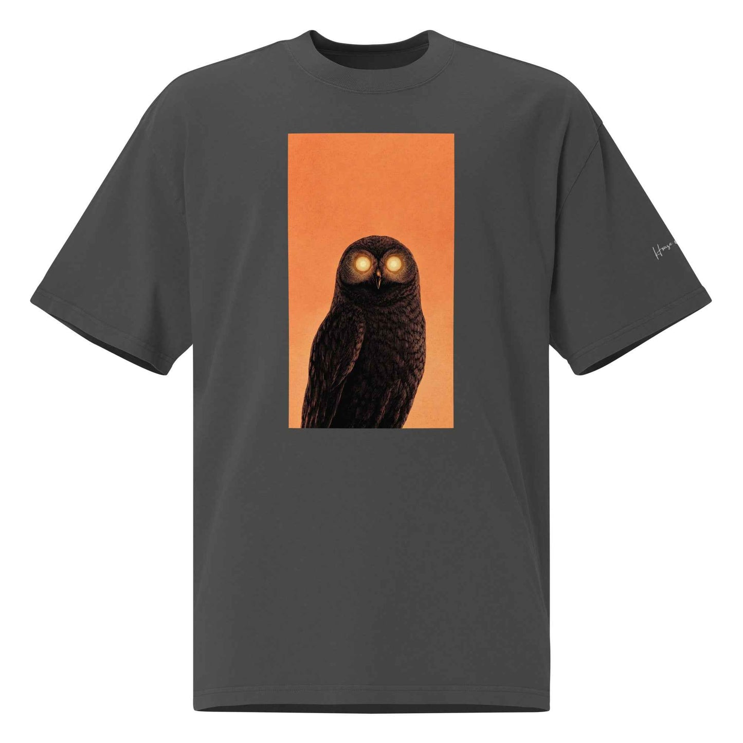 Mystic Owl Graphic T-Shirt – Oversized faded t-shirt